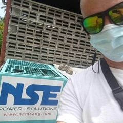 NSE