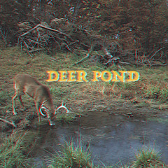 deer pond