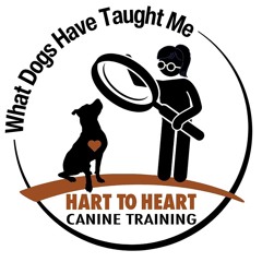 What Dogs Have Taught Me with Julie Hart