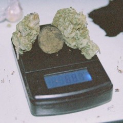 kmo1000
