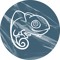 Cameleon Records