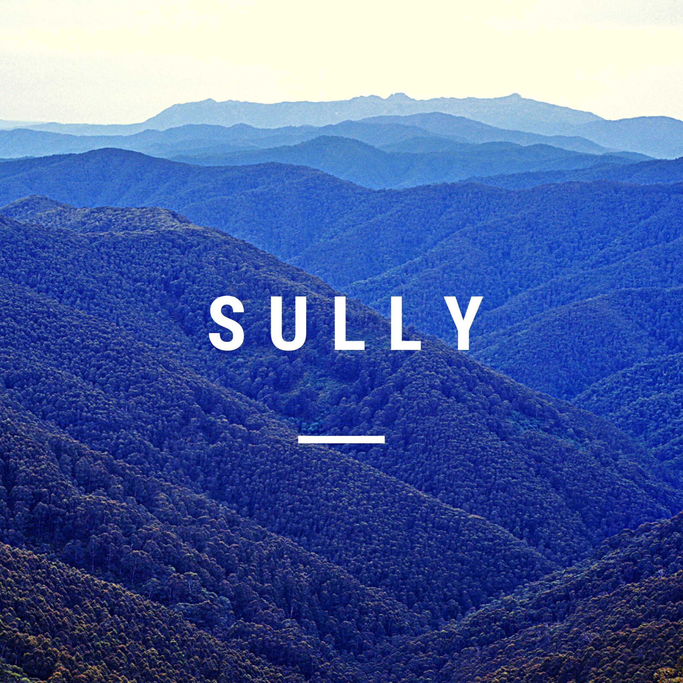 The Steven Tully Show