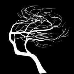 The Night Tree