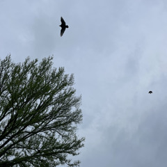 *✧･ﾟ: *✧･ﾟ