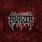 BLAIZER