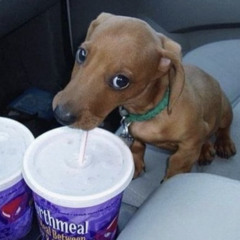 lekonemnogonahiphope