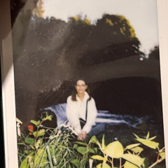 Lottie_hammer