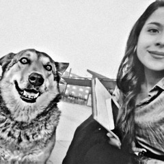 Derya Adar