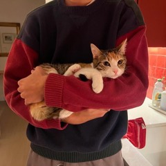 laiqagul(laysagul)💗