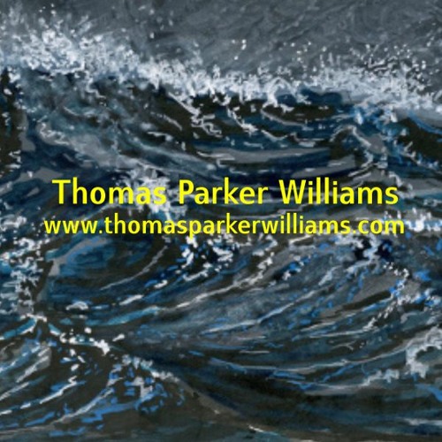 Thomas Parker Williams’s avatar