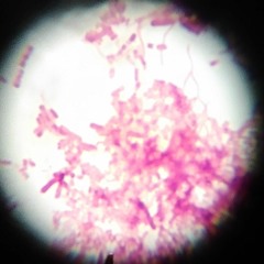 pathogen