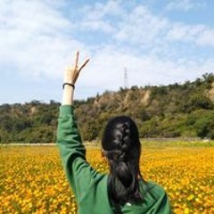 Alice  Ooi