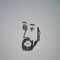 thestevekelly