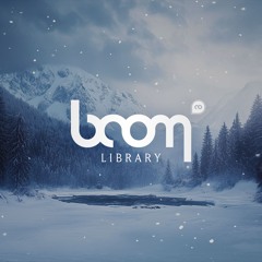 BOOM Library
