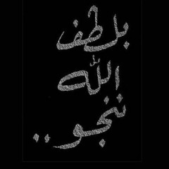noor zedat