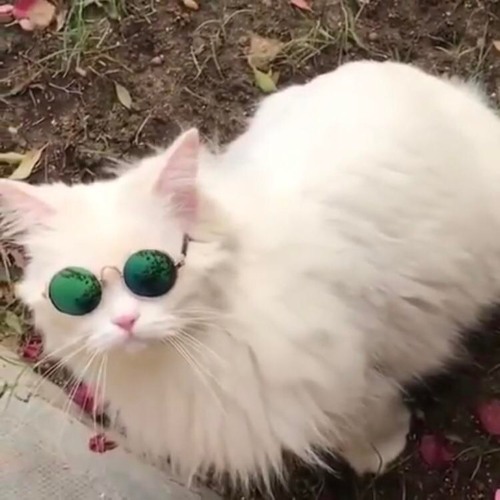 몰라요