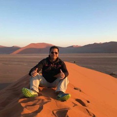 Picholo World Travel