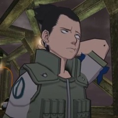 xero