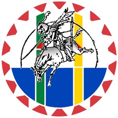 Syleo