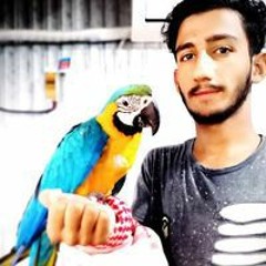 Ali Pathan
