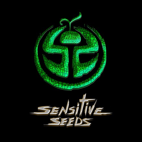 Sensitive Seeds’s avatar