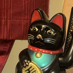 The Lucky Lucky Cats