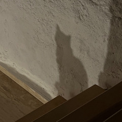 Dont Let Me Leave Murph