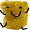 Mr.Nugget