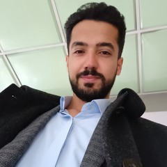 mohsen mousavi