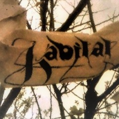 HABITAT-old rehearsals