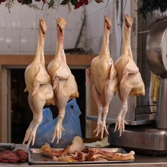 Chicken Meat