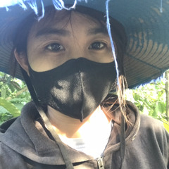 nguyen thi d quynh