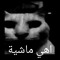MARWAN