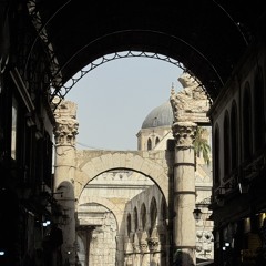 تَـسنِيم سَـامِي 𓂆