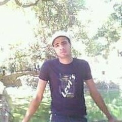 ربيع ألحداد