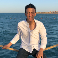 Omar Gamal Eldeen