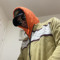 Chris Mang