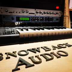 Snowback Audio