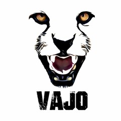 VAJ0
