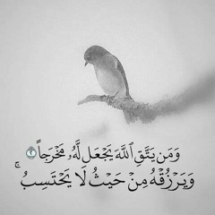eslam nasser