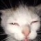 lordlongnose