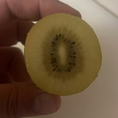 nomniKnoR