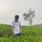 Hiệp Trịnh