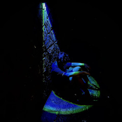 dednoir
