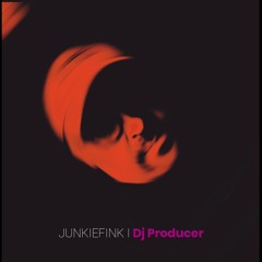 Dj Junkiefink