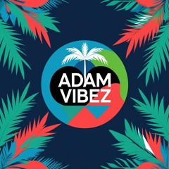 Adam Vibez
