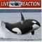 Orca