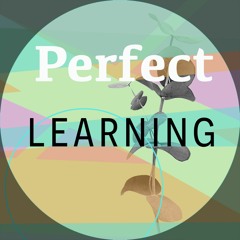 Perfect Learning