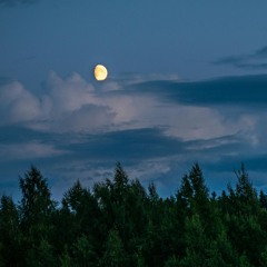 Sandro Casagrande Jr.