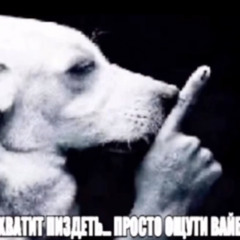 obnalichil